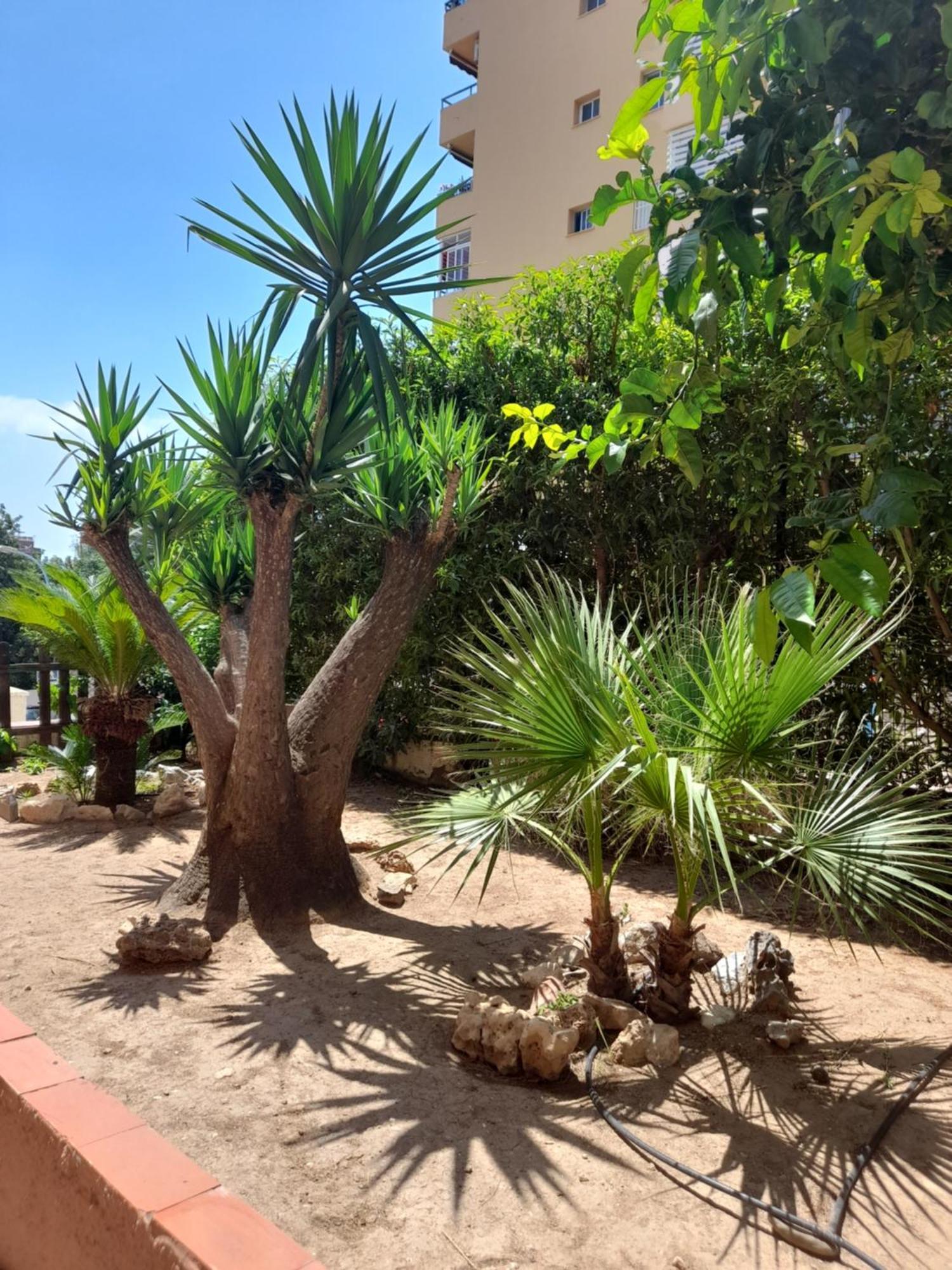 Torremolinos Centro Beach Lejlighed Eksteriør billede