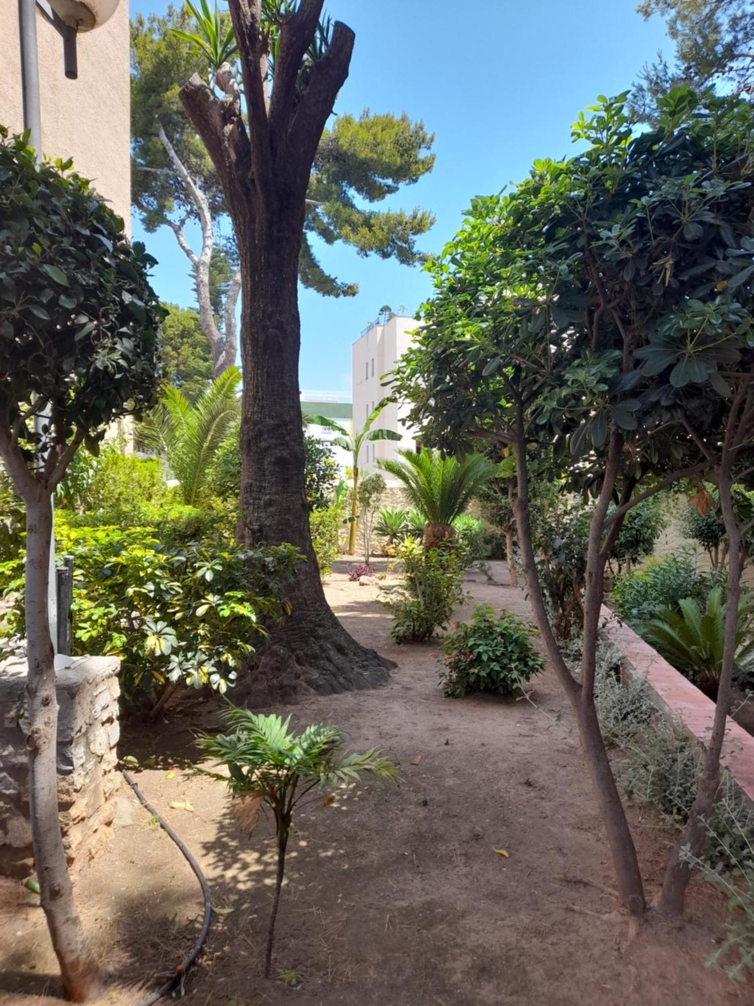 Torremolinos Centro Beach Lejlighed Eksteriør billede
